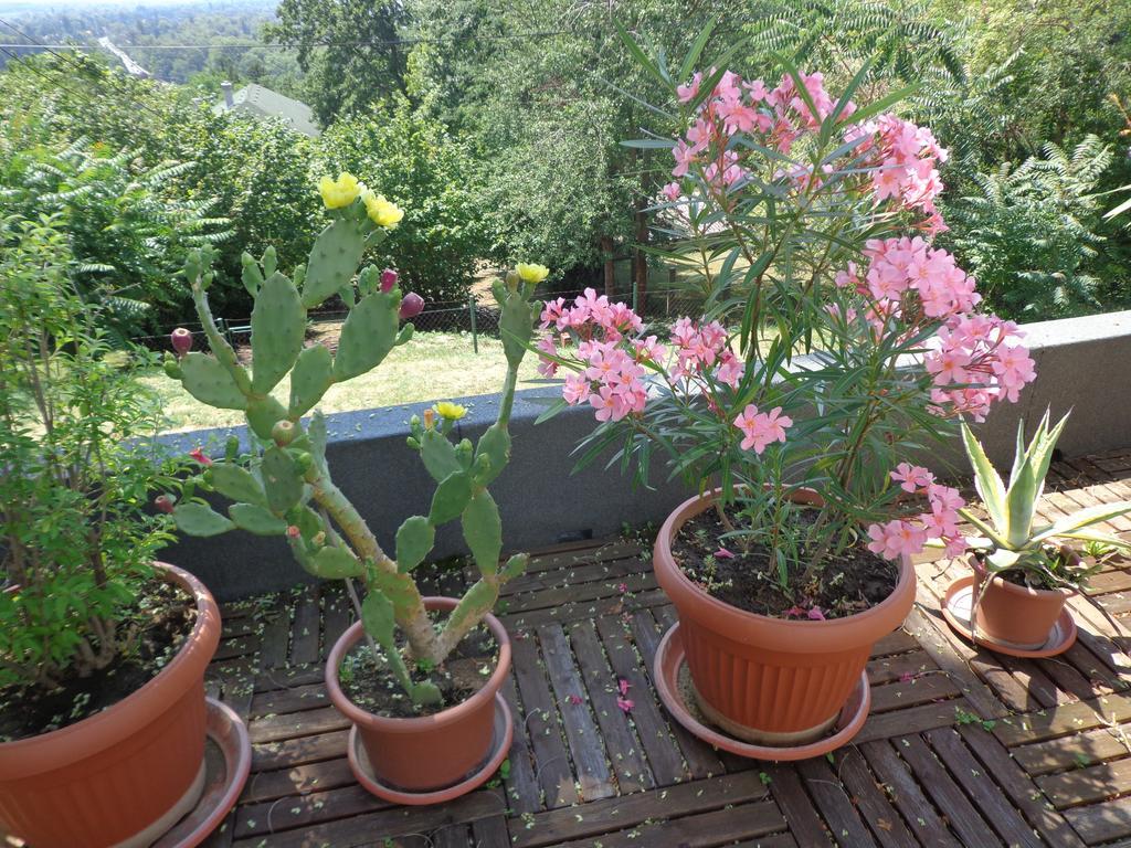 Éva Apartman Fonyód Esterno foto